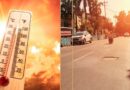 उत्तराखंड में भीषण गर्मी का कहर, दून में 40 डिग्री के करीब पहुंचा तापमान