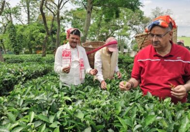 कृषि मंत्री गणेश जोशी ने असम के हाथीकुली चाय बागान का किया अवलोकन